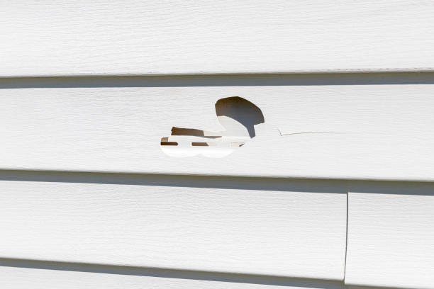 Trusted Chelan, WA Junk Removal Experts